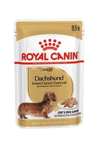 רויאל קנין פאוץ’ לכלב מגזע תחש דקל Royal Canin