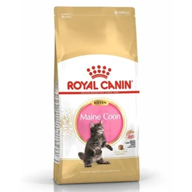Royal Canin רויאל קנין 4|10 ק"ג מזון לגורי חתולים קיטן מיין קון