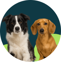 Frame 1321316550 (1)