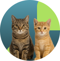 Frame 1321316550 (2)