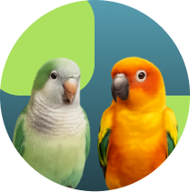 Frame 1321316550 (4)