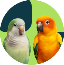 Frame 1321316550 (5)