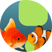 Frame 1321316550 (8)