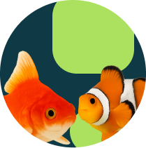 Frame 1321316550 (9)